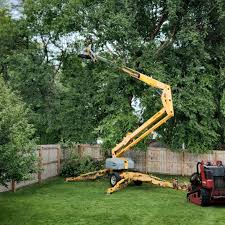 Lawn Irrigation Installation and Maintenance in Lakeland, GA